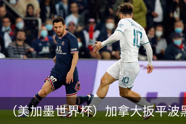 （美加墨世界杯）加拿大扳平波黑 获队史世界杯首分