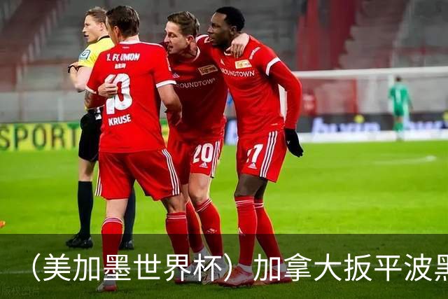 （美加墨世界杯）加拿大扳平波黑 获队史世界杯首分